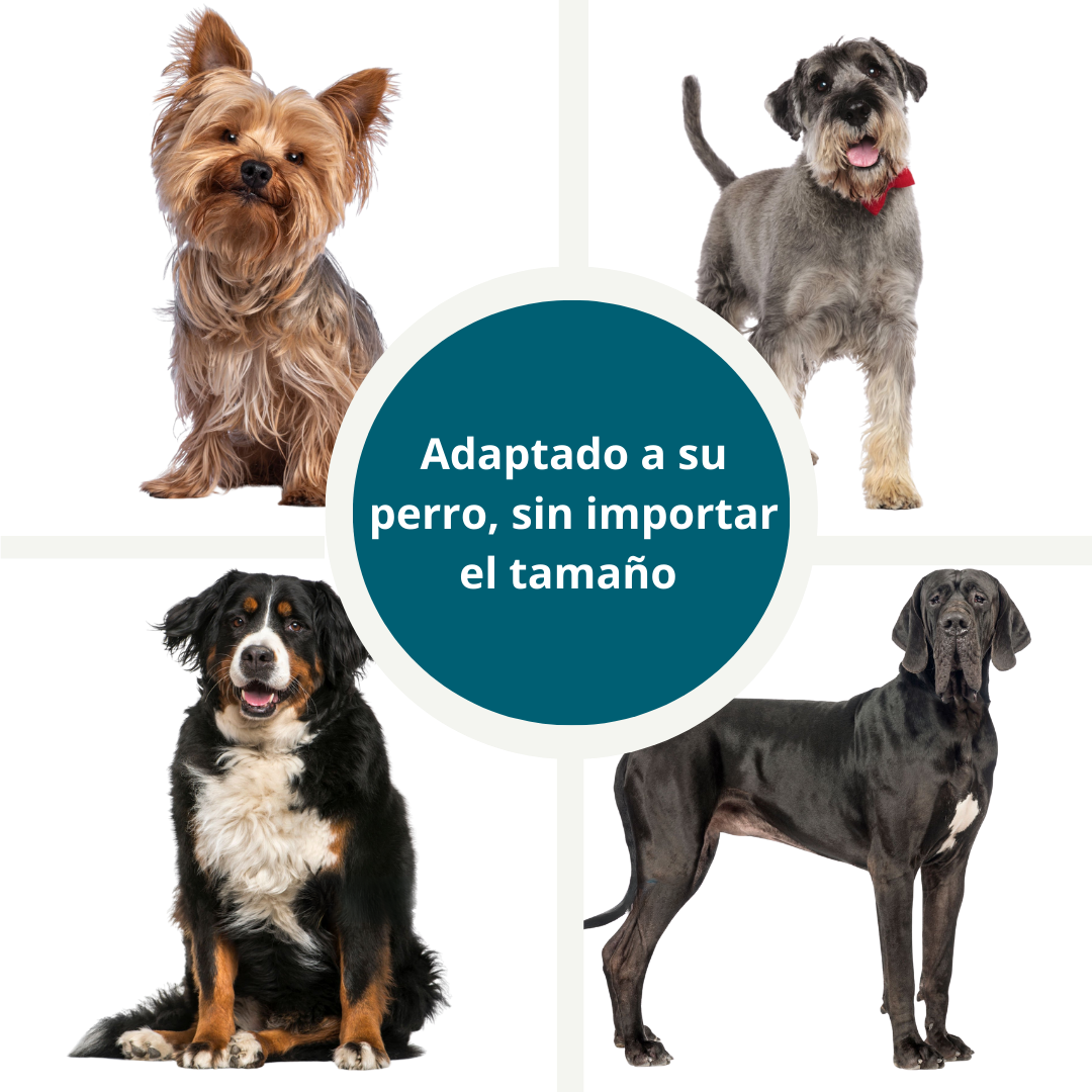DentixPet™ Sin sarro, Sin olores y Sin estrés