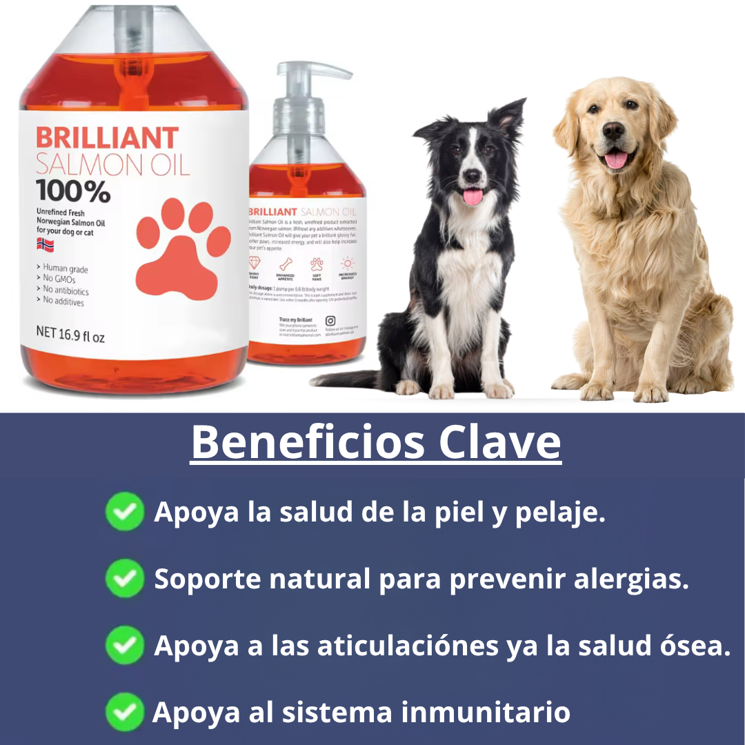 Aceite de Salmón Nutritivo