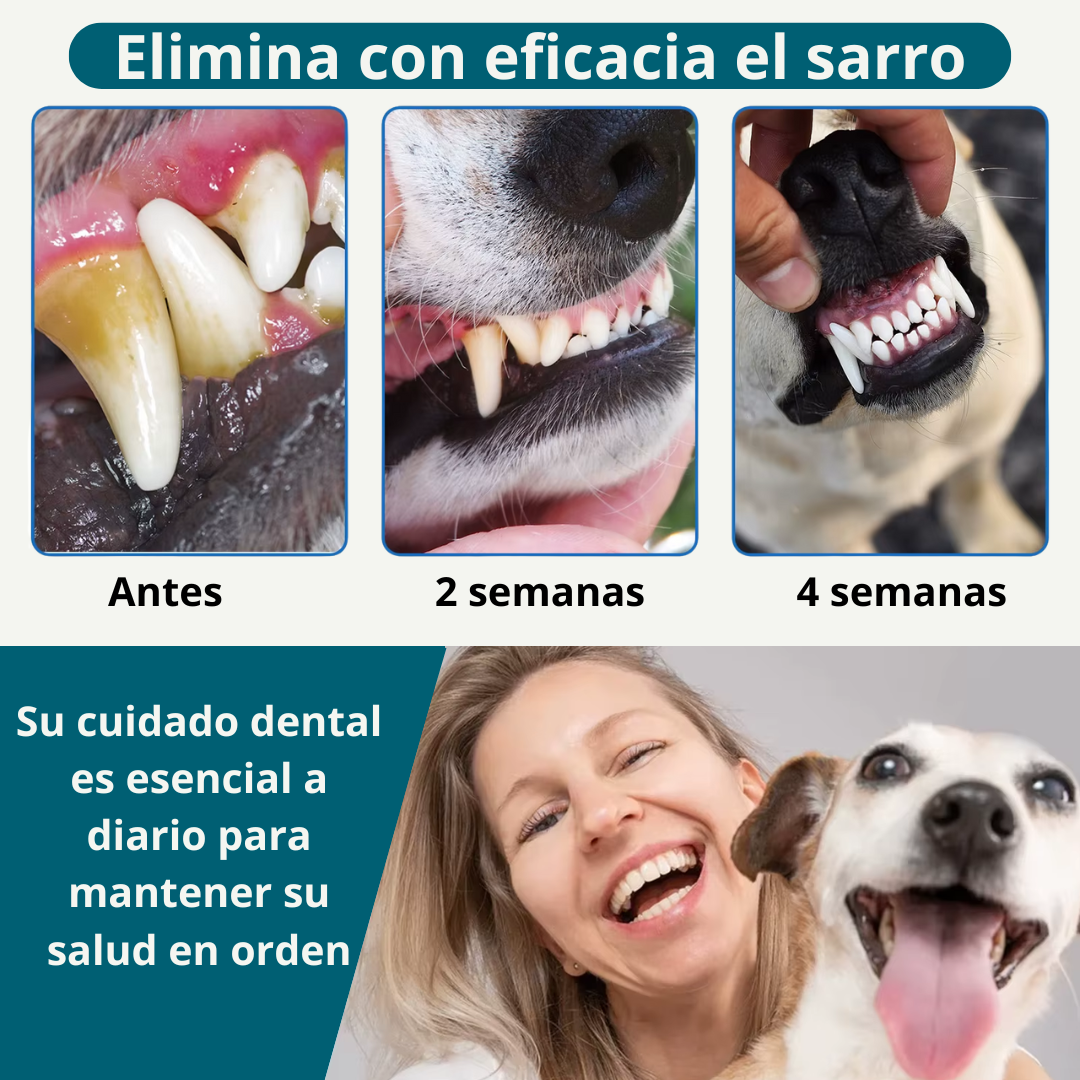 DentixPet™ Sin sarro, Sin olores y Sin estrés