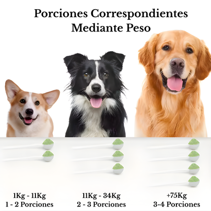 DentixPet™ Sin sarro, Sin olores y Sin estrés