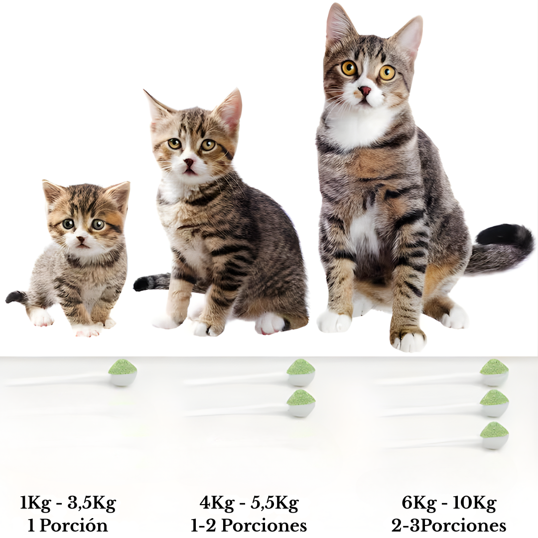 DentixPet™ Sin sarro, Sin olores y Sin estrés