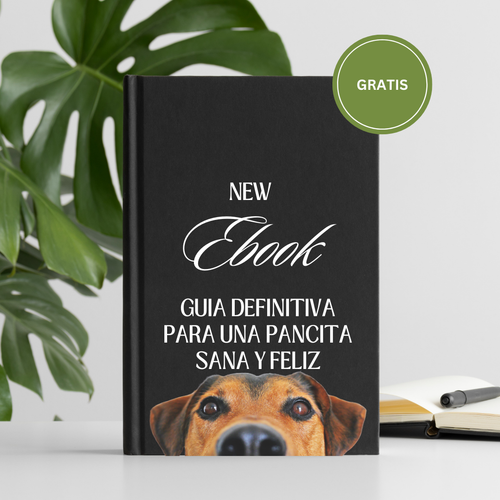 Ebook: Guía Profesional