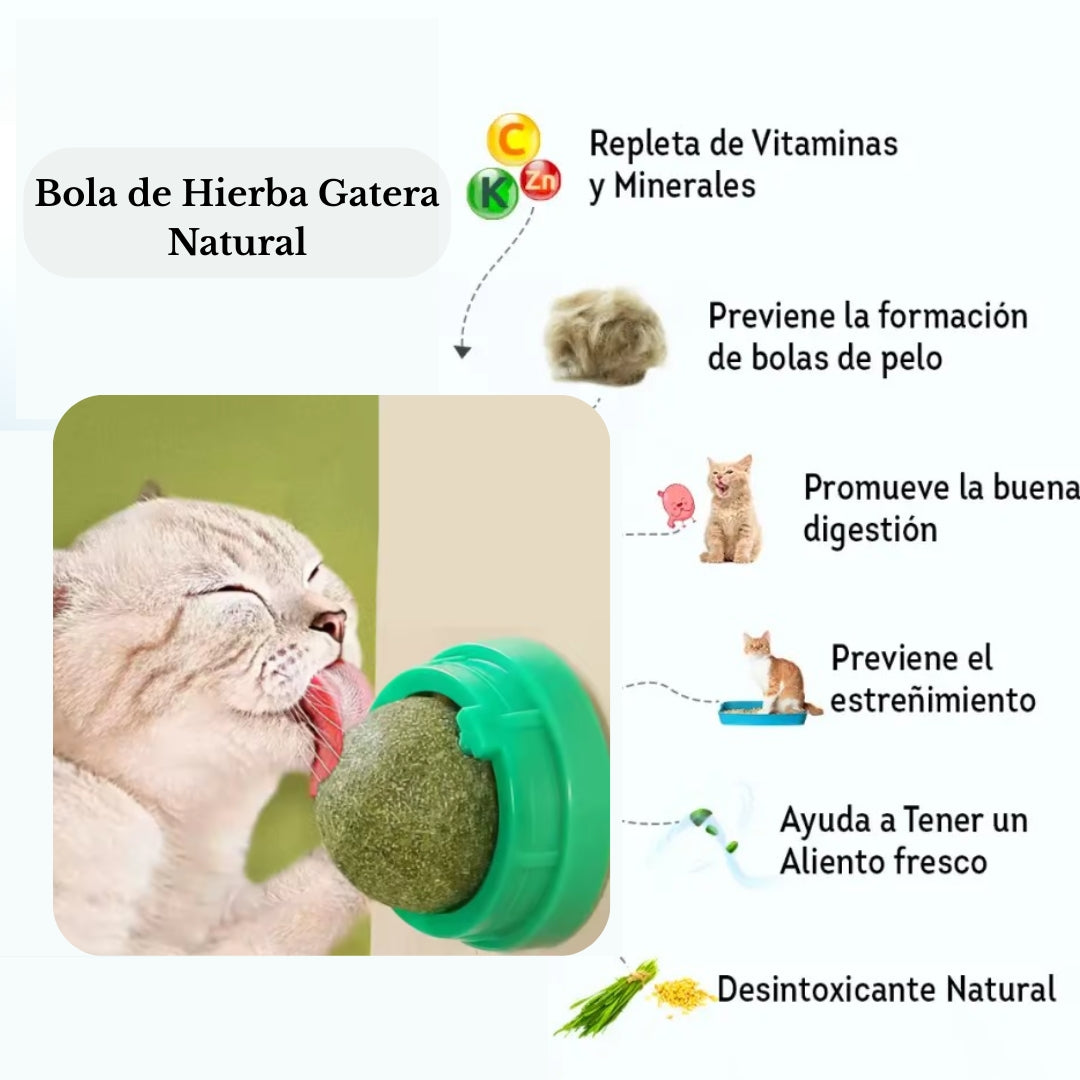 Bola de Hierba Gatera Natural