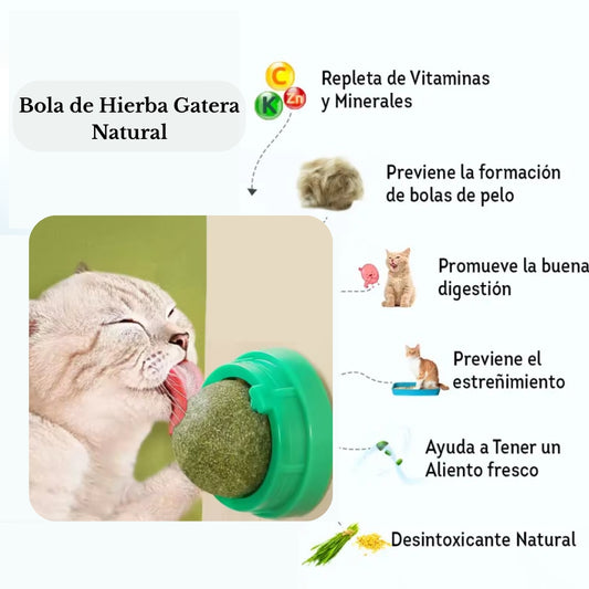 Bola de Hierba Gatera Natural